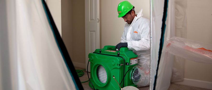 Carlsbad, NM mold cleanup