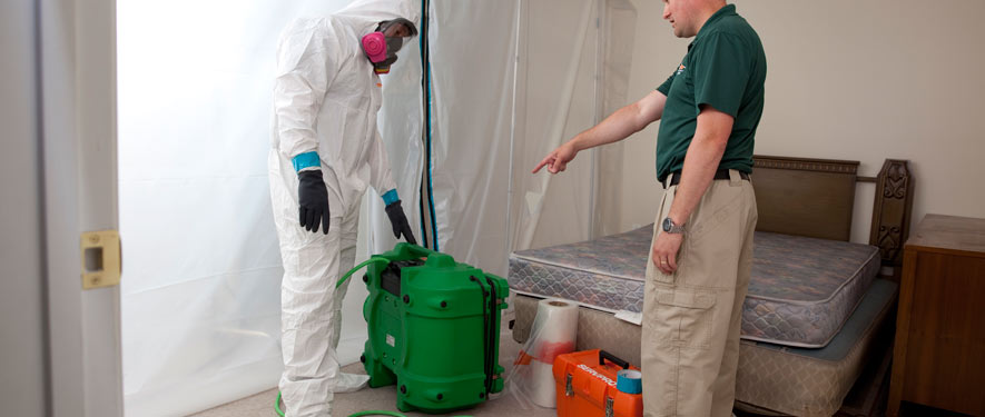 Carlsbad, NM mold removal process